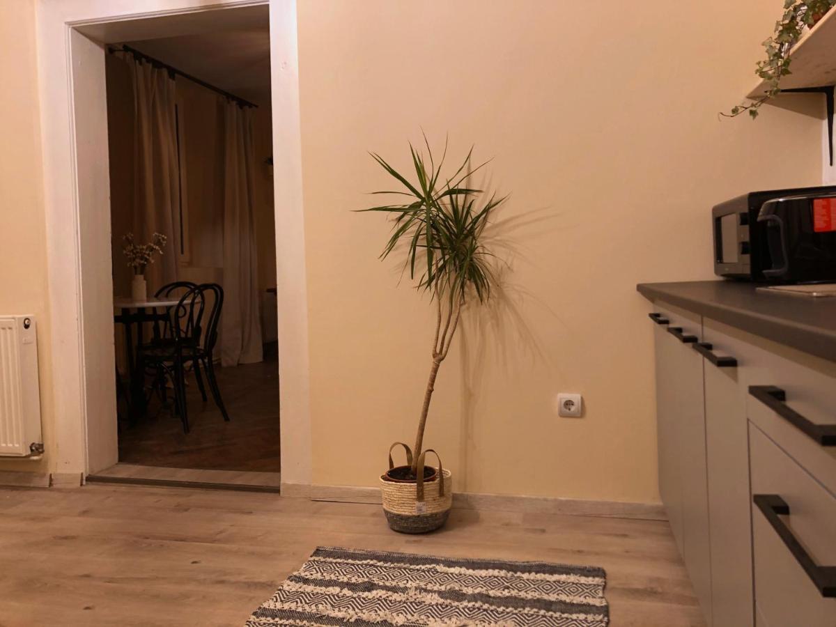 Aftar Inn Brašov Exteriér fotografie